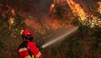 Vatrat e zjarrit në Portugali, mobilizohen rreth 800 zjarrfikës për të shuar flakët