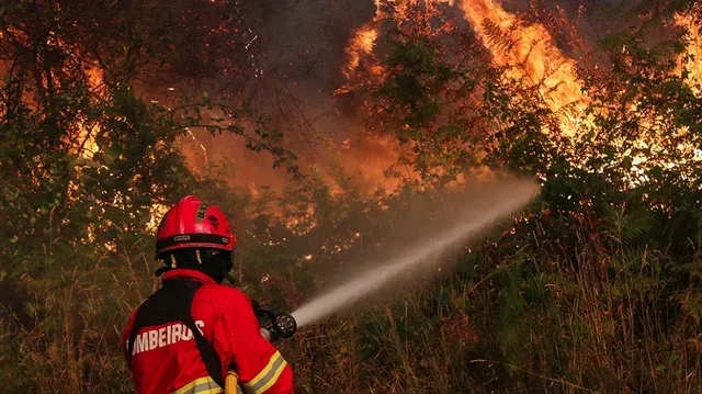 Vatrat e zjarrit në Portugali, mobilizohen rreth 800 zjarrfikës për të shuar flakët