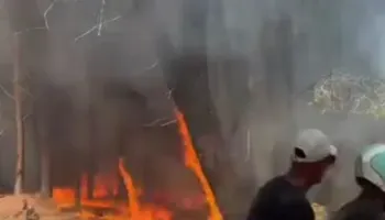 VIDEO/ Zjarr i përmasave të mëdha në pyllin e Sodës, rrezikohen sipërfaqe pyjore