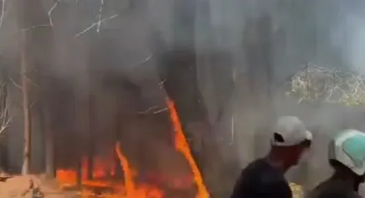 VIDEO/ Zjarr i përmasave të mëdha në pyllin e Sodës, rrezikohen sipërfaqe pyjore