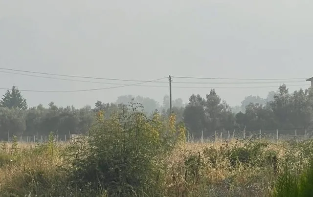 Vijon zjarri në fushën e mbetjeve në Krujë, zona e mbuluar nga tymi toksik
