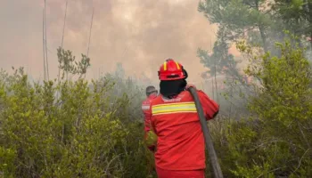 VKM/ Vlerësim për luftën kundër zjarreve të vitit 2026, një pagë mujore shpërblim për Forcat e Armatosura