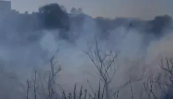 Vlorë/ Zjarr në Novoselë, temperaturat e larta dhe era favorizojnë flakët