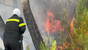 Vlorë/ Zjarri masiv në Pyllin e Sodës vihet nën kontroll, digjen mbi 5 hektarë me pisha