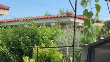 Vrajsa në Roskovec, flet vëllai i viktimës: Policia erdhi pas një ore. Autori ka hyrë e ka dalë tre herë nga burgu