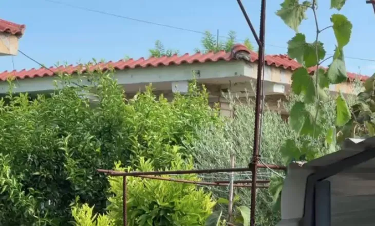 Vrajsa në Roskovec, flet vëllai i viktimës: Policia erdhi pas një ore. Autori ka hyrë e ka dalë tre herë nga burgu