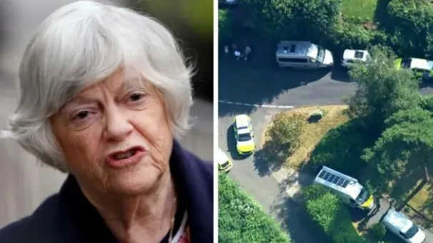 Vrasja e ish-ministres britanike Ann Widdecombe, arrestohet një 26-vjeçar