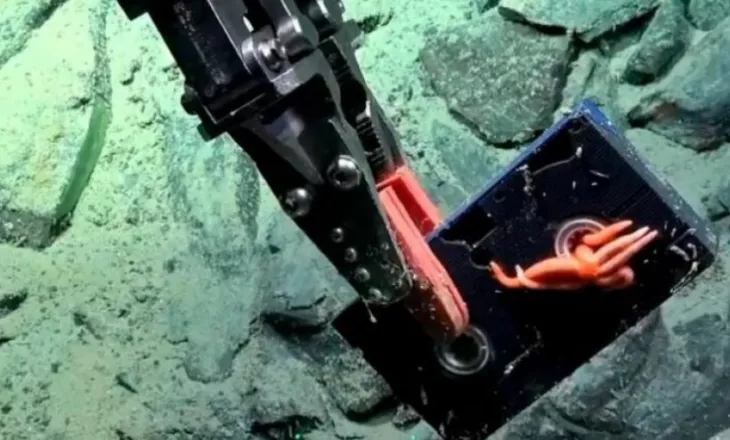 Zbulim i pazakontë në Atlantik/ Studiuesit gjejnë kasetë VHS të paprekur në 2640 metra thellësi