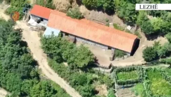 Zbulohen në Lezhë 5 ambiente për kultivimin e kanabisit