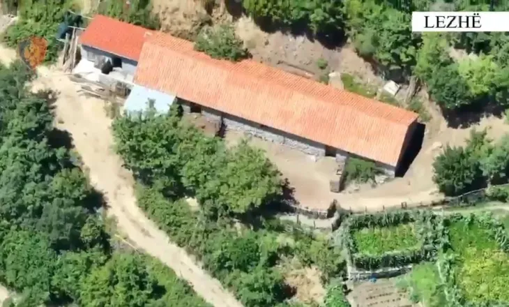 Zbulohen në Lezhë 5 ambiente për kultivimin e kanabisit