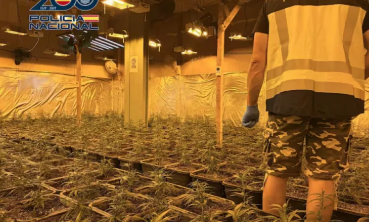 Zbulohet mega-plantacioni i drogës me teknologji të lartë/ Goditet banda shqiptaro-spanjolle, pati përplasje me armë