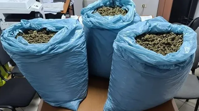 Zbulohet një bazë për tharjen e kanabisit në Divjakë, sekuestrohen 44 kg drogë dhe 1 426 bimë narkotike