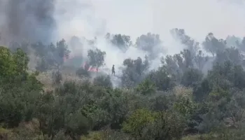 Zjarr i fuqishëm pranë ish-Azotikut në Fier, era favorizon përhapjen e flakëve