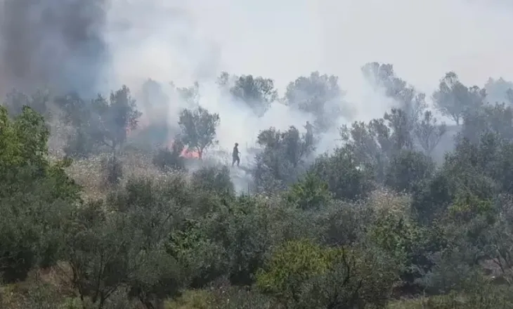 Zjarr i fuqishëm pranë ish-Azotikut në Fier, era favorizon përhapjen e flakëve