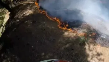 Zjarr i madh në Babicë, flakët rrezikojnë banesat dhe djegin sipërfaqe me ullishte