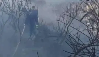 Zjarr i madh në kodrën me ullinj në Dimal, dyshohet se flakët u vunë qëllimisht