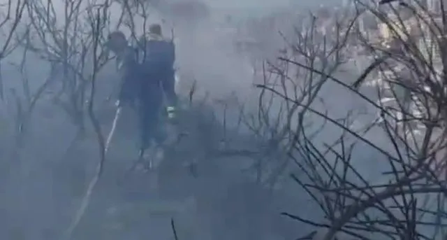 Zjarr i madh në kodrën me ullinj në Dimal, dyshohet se flakët u vunë qëllimisht