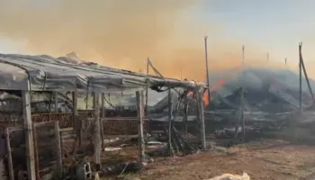 Zjarr i madh shkrumbon fermën në Patos