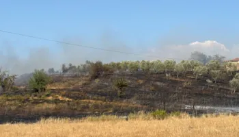 Zjarr i përmasave të mëdha në Belsh/ Flakët përfshijnë zonën mes Seferanit dhe Merhojës, rrezikohen banesat