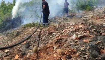 Zjarr i përmasave të mëdha në Qafë Thanë, flakët përhapen me shpejtësi