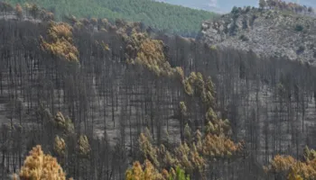 Zjarr masiv në Spanjë, digjen mbi 32 mijë hektarë pyje! Evakuohen 34 fshatra