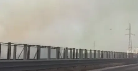 Zjarr në autostradën Fier-Vlorë, tymi mbulon zonën! Vështirësi në qarkullimin e automjeteve