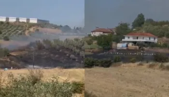 Zjarr në Belsh/ Flakët përhapen me shpejtësi, rrezikohen banesa dhe parcela me ullinj