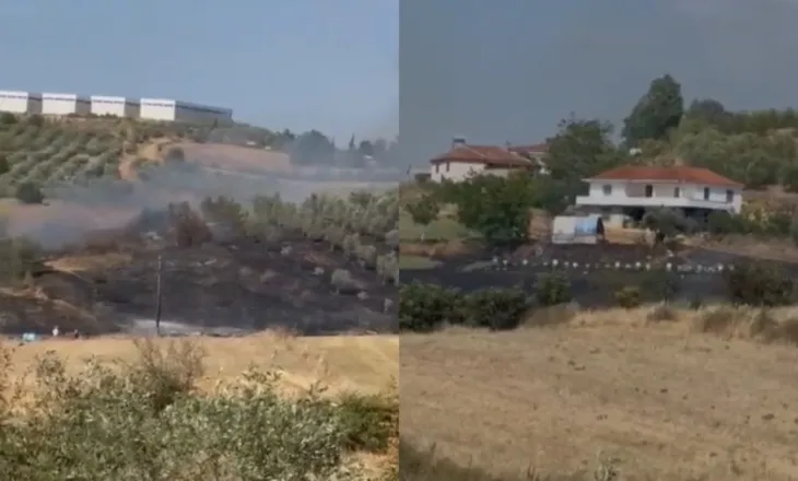 Zjarr në Belsh/ Flakët përhapen me shpejtësi, rrezikohen banesa dhe parcela me ullinj