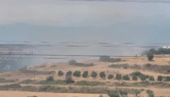 Zjarr në Belsh, flakët rrezikojnë pemët dhe banesat, zjarrfikësit në terren, thirrje për ndihmë nga bashkitë e tjera