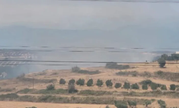 Zjarr në Belsh, flakët rrezikojnë pemët dhe banesat, zjarrfikësit në terren, thirrje për ndihmë nga bashkitë e tjera
