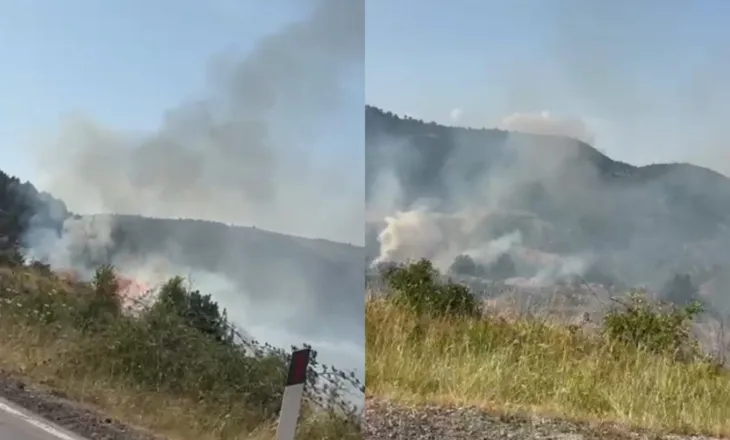 Zjarr në fshatin Gjonomadh të Korçës (VIDEO)