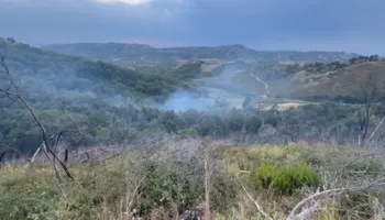 Zjarr në kodrat e Peshtanit, zjarrfikësit neutralizojnë flakët dhe shmangin përhapjen