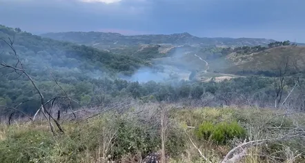 Zjarr në kodrat e Peshtanit, zjarrfikësit neutralizojnë flakët dhe shmangin përhapjen