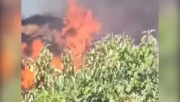 Zjarr në kodrën e Kuzum Babasë në Vlorë, rrezikohen banesa dhe Teqeja e Kuzum Babasë