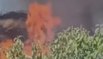 Zjarr në kodrën e Kuzum Babasë në Vlorë