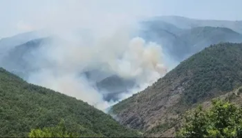 Zjarr në Mat/ Flakët përfshijnë sipërfaqe me bimësi, dyshohet për zjarrvënie të qëllimshme