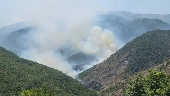 Zjarr në Mat/ Flakët përfshijnë sipërfaqe me bimësi, dyshohet për zjarrvënie të qëllimshme
