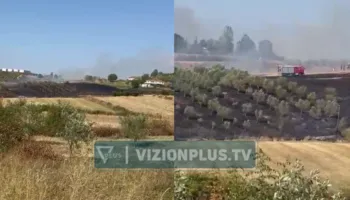 Zjarr në një parcelë me ullinj në Belsh