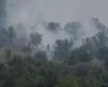 Zjarr në një sipërfaqe me ullishte në Drizë të Fierit