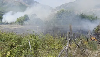 Zjarr në një sipërfaqe pyjore në Bulqizë, ndërhyrja e zjarrfikësve shmang rrezikun për banesat