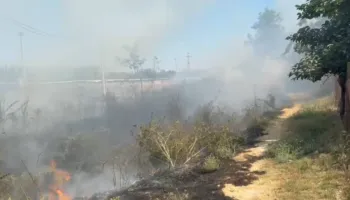 Zjarr në Novoselë, zjarrfikëset mbërrijnë menjëherë në vendngjarje/ Rrezikohen banesat pranë