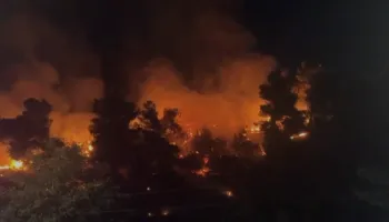 Zjarr në Shëngjin, flakët i afrohen rrugës kryesore