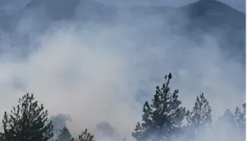 Zjarr në Voskopojë, forcat zjarrfikëse dhe Shërbimi Pyjor në terren për shuarjen e flakëve