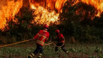 Zjarre të mëdha përfshinë Greqinë dhe Portugalinë