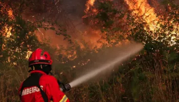 Zjarre të shumta përfshijnë Portugalinë, digjen mijëra hektarë me bimësi