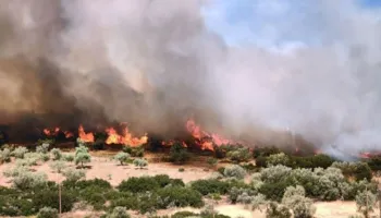 Zjarret në Greqi, evakuime masive dhe dëme të mëdha në qytetin Rethymno dhe rajonin Beoti