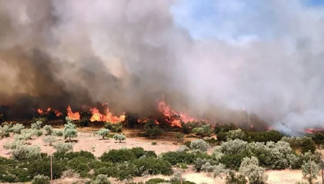 Zjarret në Greqi, evakuime masive dhe dëme të mëdha në qytetin Rethymno dhe rajonin Beoti