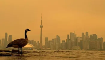 Zjarret në pyje kërcënojnë cilësinë e ajrit në Kanada dhe SHBA: Toronto po bëhet i verdhë