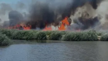 Zjarret në vend/ Mbrojtja: 5 vatra ende aktive