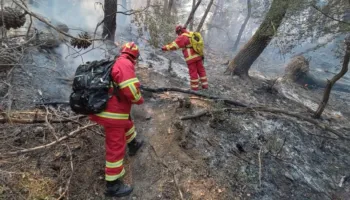 Zjarret nisin me ‘vrull’/ Preken fshatrat Zminec e Karroq, flakët djegin bimët